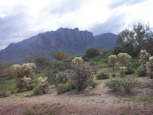 Apache Junction, AZ