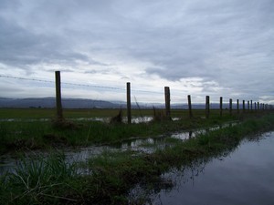 Arcata, CA