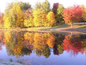 Cadillac, MI