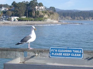 Capitola, CA