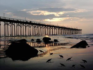 Carolina Beach, NC