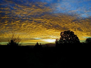 Chino Valley, AZ