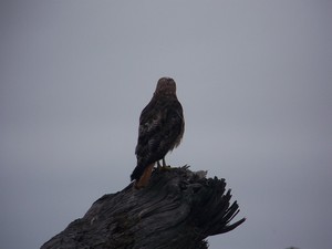 Crescent City, CA