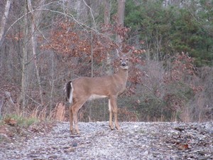 Dunbar, WV