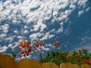 El Centro, CA