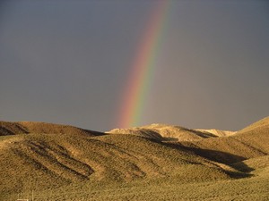 Fernley, NV