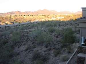 Fountain Hills, AZ