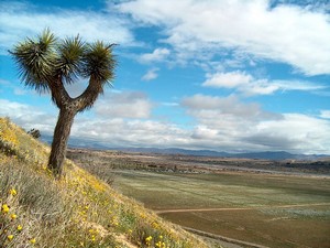 Hesperia, CA