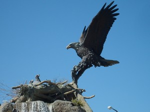 Idaho Falls, ID