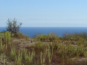 Laguna Niguel, CA