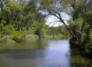 Lincoln Park, MI