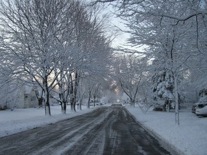 Lombard, IL