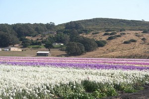 Lompoc, CA