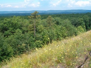 Mountain Top, PA