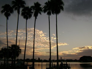 Pinellas Park, FL