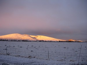 Prescott Valley, AZ