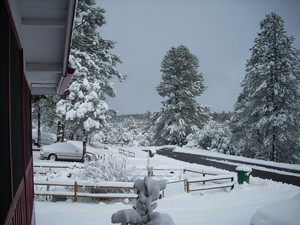 Show Low, AZ