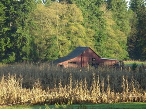 Silverdale, WA