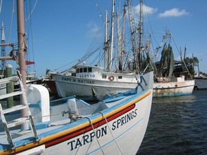 Tarpon Springs, FL