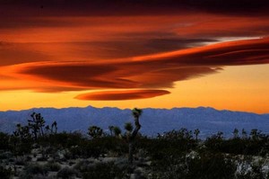 Yucca Valley, CA